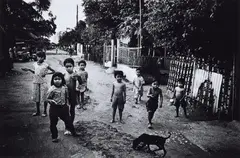 Untitled by Daidō Moriyama, c. 2000, Gelatin silver print, offered Dec 2023