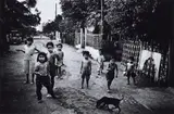Daidō Moriyama, Untitled