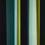Alex Haas, Stems, 2002, Chromogenic print on Fujicolor-Crystal-Archive paper
