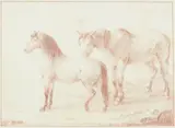 Franz Pforr, Horse studies, Red chalk on paper