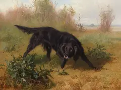 Conradijn Cunaeus, Hunting Dog and Hare, Oil on panel