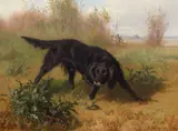 Conradijn Cunaeus, Hunting Dog and Hare, Oil on panel