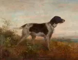 Anton Burger, Hunting Dog in a Landscape, Oil on canvas