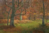 Paul Müller-Kaempff, Forest Interior