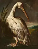 Bartolomeo Bimbi, A Pelican in a Landscape, Oil on canvas (relined)
