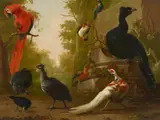 Abraham Busschop, A Red Macaw, Guinea Fowl, a Silver Pheasant and other Exotic Birds in a Park, Oil on canvas (relined)