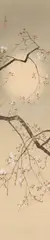 Imai Keijû, Cherry blossom branches and a hazy moon, Hanging scroll. Ink and colours on silk. Signed Keijû and two seals. Tomobako signed Keiju and sealed