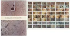 Dennis Oppenheim, Ground Gel, 1972, 2-part work: One photocollage with 72 c-prints and felt-tip pen on card. One photocollage with 3 colour photographs on card