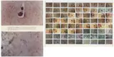 Dennis Oppenheim, Ground Gel