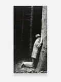 Anna und Bernhard Johannes Blume, Untitled (from the series: Im Wald), 1990-92, Photo work in 9 parts: gelatin silver prints, printed 1998. Each