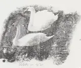 Robert Rauschenberg, Untitled, 1992, Dye transfer on card