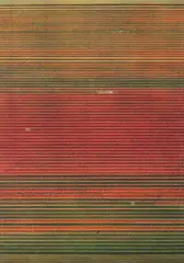 Andreas Gursky, Ohne Titel XVIII, 2016, Offset lithograph on vellum
