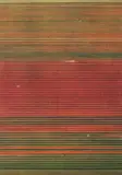 Andreas Gursky, Ohne Titel XVIII