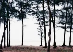 Xiamen, China by Axel Hütte, 1998, Chromogenic print on Kodak paper, face-mounted to plexiglass, sold Jun 2023
