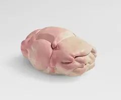 Dumpling Car by Erwin Wurm, 2014/2018, Spray paint on acrylic. Approx, offered Jun 2023
