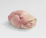 Erwin Wurm, Dumpling Car