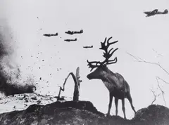 Yevgeny Khaldei, The Reindeer Jascha, Murmansk, 1941, Gelatin silver print, printed 1990s