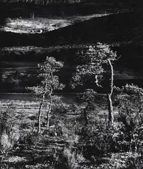 Detlef Orlopp, Provenzialische Landschaft, 1957, Vintage gelatin silver print