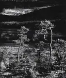Detlef Orlopp, Provenzialische Landschaft, 1957, Vintage gelatin silver print