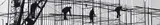 Aart Klein, Delta, Haringvlietdam, 1962, Vintage ferrotyped gelatin silver print. Approx