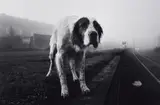 Jane Evelyn Atwood, France, 1992, Gelatin silver print