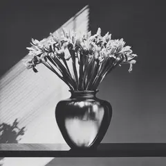 Robert Mapplethorpe, Irises, 1986, Gelatin silver print