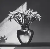 Irises by Robert Mapplethorpe, 1986, Gelatin silver print, sold Jun 2023