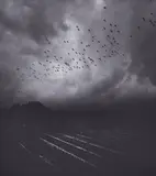 Pentti Sammallahti, Koriyama Shi, Fukushima, Japan