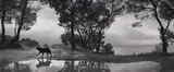 Pentti Sammallahti, Cilento, Italy