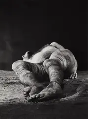 Dieter Appelt, Untitled (from the series: Erinnerungsspur - Statische Vibration), 1978, Gelatin silver print on Agfa paper