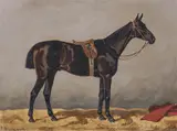 Emil Volkers, Black Horse in a Stable