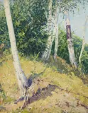 Teodoro Wolf Ferrari, Betulle in Fratta (Birch Trees in Fratta), Oil on laminated panel
