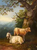 Jacob Philipp Hackert, Goat and Sheep