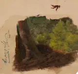 Carl Spitzweg, Tree Study with an Angler, Oil on paper