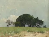 Eugen Bracht, Trees on the Dunes, Oil on canvas