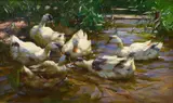 Alexander Koester, Six ducks in blue reed water, Oil on canvas, mounted on board