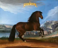 Adam Frans van der Meulen attributed, "Le San Pariel espagnol", Louis XIV's horse in front of the city of Dinant, Oil on canvas