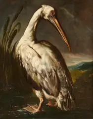 Bartolomeo Bimbi, A Pelican in a Landscape, Oil on canvas (relined)