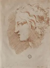 Pietro Antonio Novelli, Classical Female Head in Profile, Ink in brown