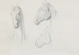 Anton von Werner, Study of Horses' Heads, Pencil on paper