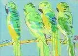 Ting Walasse, Untitled (parrots)., Untitled (parrots). Ink and colours on paper. Sealed caihua daodao (thief who steals flowers). Matted, framed and glazed