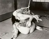 Untitled (from the series: Kinbaku) by Nobuyoshi Araki, 2008, Gelatin silver print, sold Dec 2022