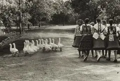 Hungary by Elliott Erwitt, 1964, Gelatin silver print, printed later, sold Dec 2022