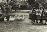 Elliott Erwitt, Hungary
