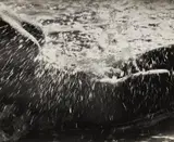 Lucien Clergue, Née de la vague
