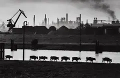 Walter Vogel, Ruhrgebiet, 1965, Gelatin silver print, printed