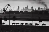 Walter Vogel, Ruhrgebiet, 1965, Gelatin silver print, printed