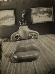 Joan Fontcuberta, The Portrait of Mae West, 1996, Gelatin silver print