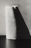 Ralph Gibson, Untitled (from the series: In Situ)