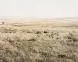 David Goldblatt, On the farm Frenda, near Warden, Free State